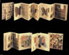 6codice